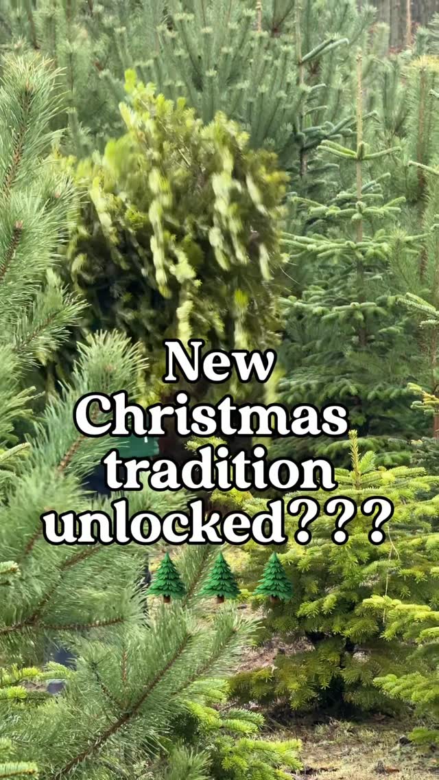 #berlinwithkids #berlinmitkind 
🌲Yesterday we picked up our Christmas tree - but not from a regular tree stand. We drove out to Brandenburg, to Bauer Nietsch, chose the tree that caught our eye, and cut it down ourselves! 🌲💚
For my kids it wasn’t the first time, but for me… it was! And I loved it!

Bauer Nietsch is such a charming place: apart from choosing and cutting your own tree, you can warm up by the fire, have a sausage, sip mulled wine (or the kids’ version 😉), and even shop fresh farm goodies like veggies, jams, juices & more.
A proper magical Christmas outing. ✨
Big thank you to @unexpectedberlin for the recommendation - such a gem!

📍Bauer Nietsch, Tiefensee, Brandenburg 
🗓️ 29.11 - 23.12, daily until dusk
🎄 Nordmann firs, spruces & pines
🔥 Campfire • mulled wine • kids’ punch • local products
🪓 Bring your own saw or borrow one on site