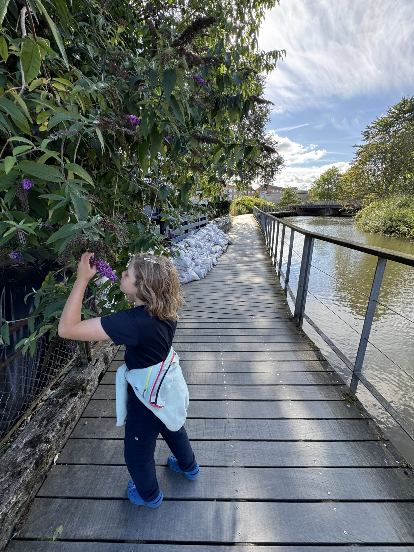 Kolding with kids – best attractions